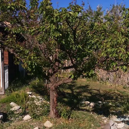 Alpehytte Chalet Deluxe Vasto